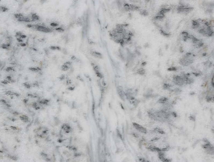 Panthera White marble
